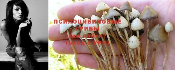 гидропоника Покачи