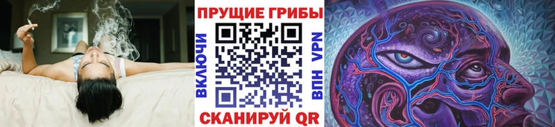 закладки  Усолье-Сибирское  Галлюциногенные грибы Psilocybe 