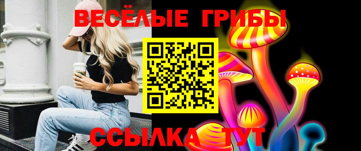 Усолье-Сибирское  Псилоцибиновые грибы Psilocybe  Вход с VPN  Псилоцибиновые грибы ЛСД 